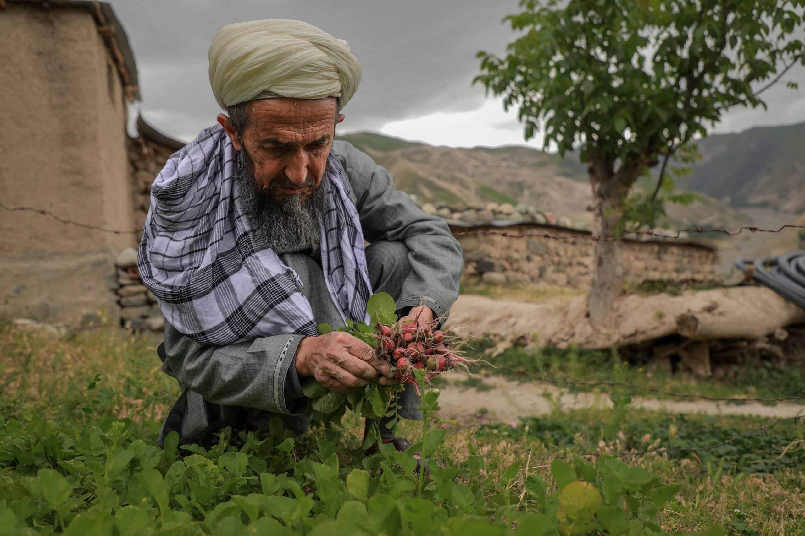 Afghanistankomiteen lanserer diskusjonsnotat om kondisjonalitet