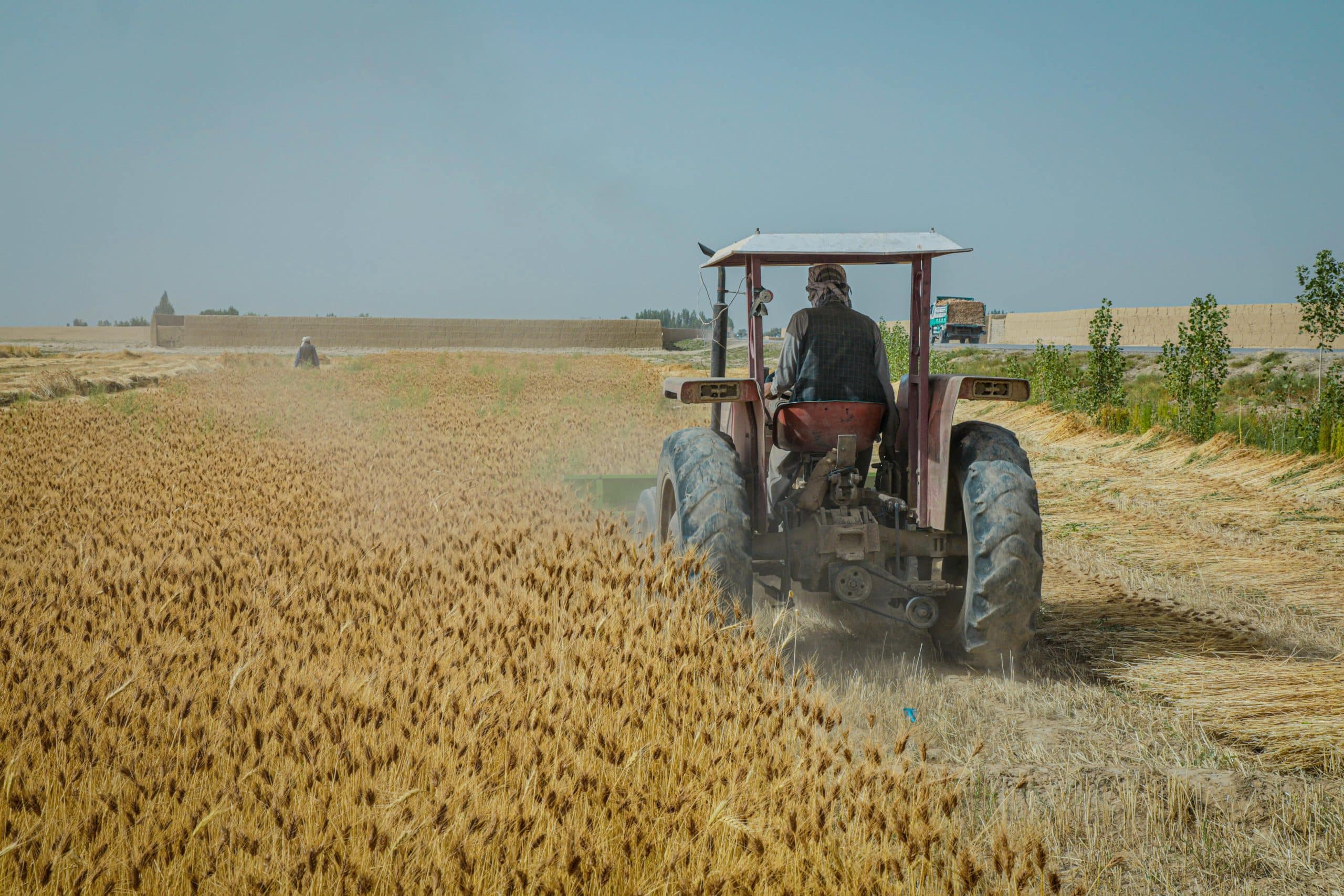 Nurturing Resilience: Agricultural Aid in Afghanistan